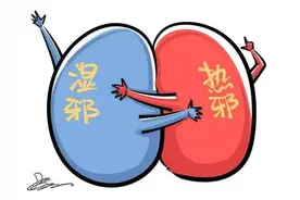 湿热重，二妙丸、四妙丸没用？教你绝招，先健脾再祛湿热 效如桴鼓图片