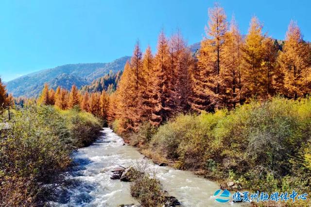 雪落之前留存的秋色