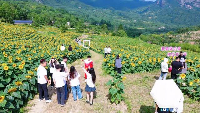 云屏迎来暑期旅游热，多家爆满～订房还要再等几天
