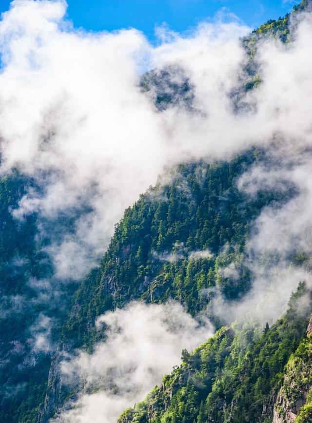 清清凉凉理想地！理县「出片天花板」，随手拍都是大片。