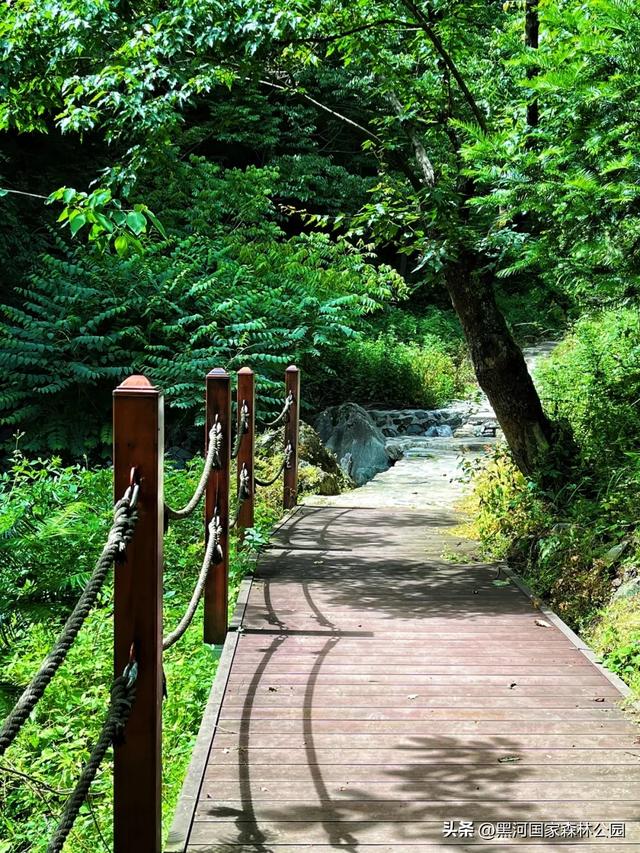 初秋限定美景，在黑河，听见了风与水的私语