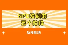 NPD发疯的五个阶段图片