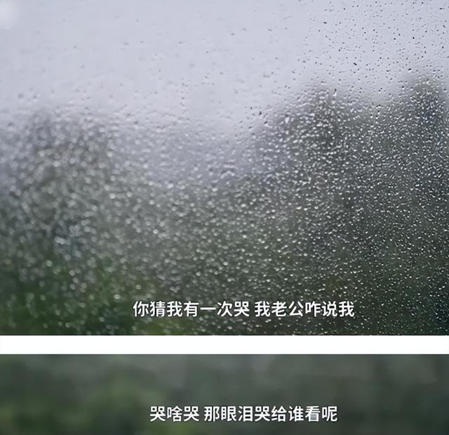 16万没白花！为旅游离婚的苏敏，成家庭主妇的楷模！面相都变了