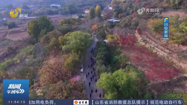 层林尽染！在抱犊崮的红叶“画廊”里攀岩漫步