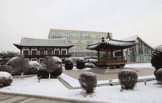 告别千篇一律的冬天！图们冰雪研学，让自然、历史与青春撞个满怀