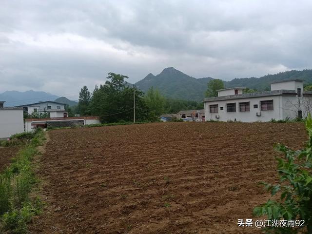 西峡深山发现战国古城遗址，旁有千年古柏，古寺，气势盎然