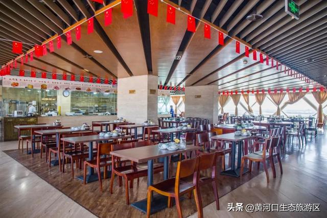 【黄河口生态旅游区】以湿地为笺，用候鸟作笔 —— 致教师的自然礼赞