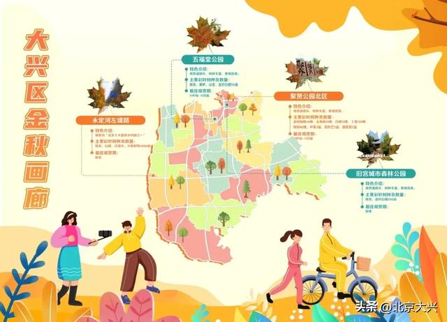 【秋高气爽】21处精选点位！大兴区“赏秋地图”你们收好