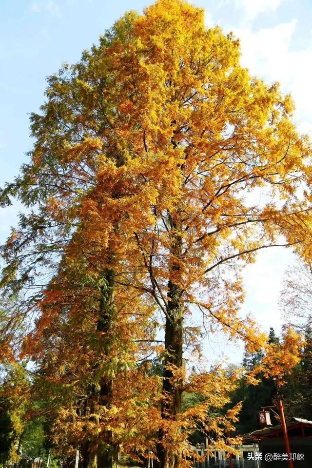 10月29日，开启乐游天台山不限量徒步活动！速来围观！