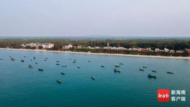 向往的渔村丨慢慢享受海，这题临高会！