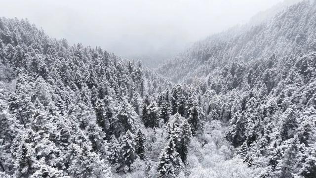 准备好迎接初冬的官鹅沟了吗？