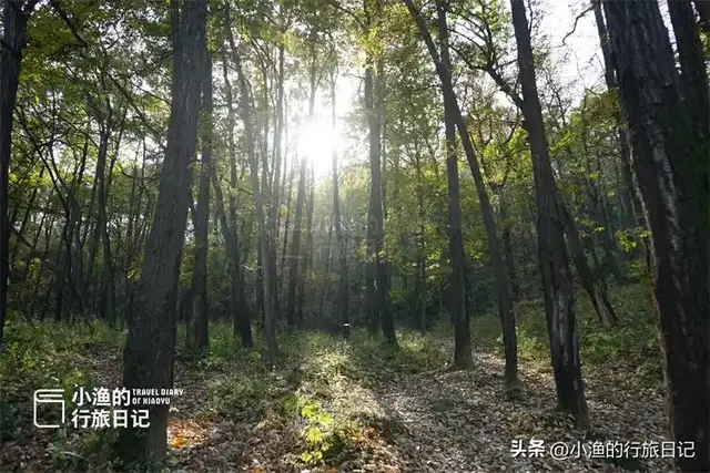 西安秦岭深山古寺，白娘子里的法海和尚竟在这里出的家！古韵悠长