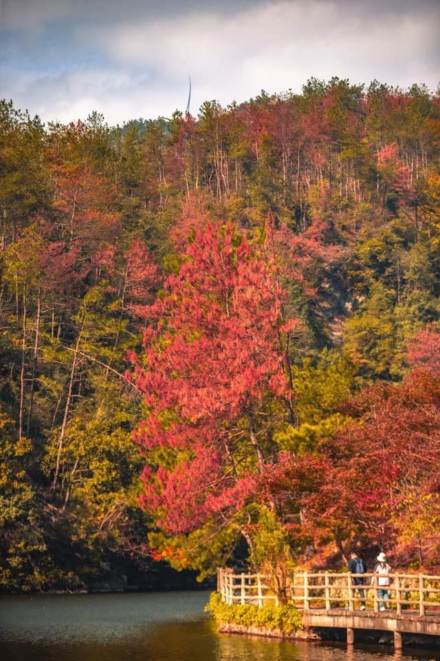 秋日登高，黄陂“顶”好玩！