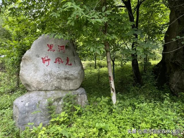 夏末初秋,出游正当时,在黑河邂逅夏秋两季交替之美