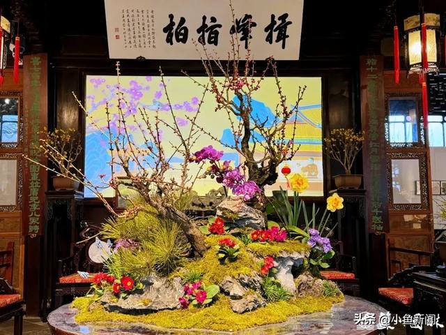 官宣！苏州梅花市集