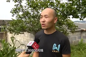 低投资还能年赚百万？贵阳大哥养殖这种鸡，如今痛悔：根本卖不出去图片
