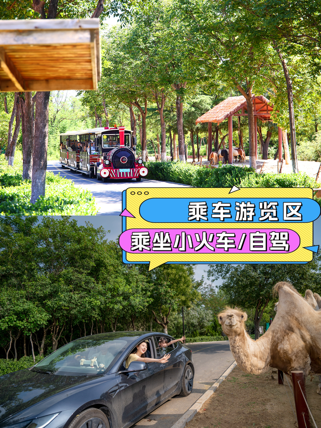 济野大放价！9月去太划算了，打卡攻略让你不错过每一处精彩！