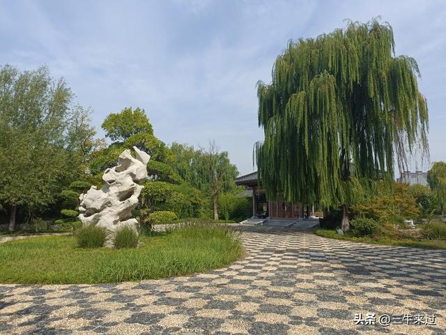无为在歧路，国庆游淄博1