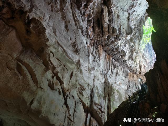 马来西亚(29)砂拉越州③姆鲁山清水洞·风洞