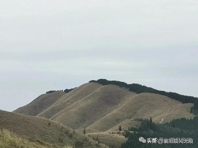 徒步武功山【原创】