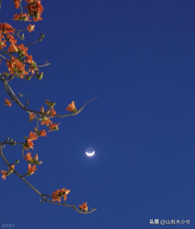 2幸亏心痛无声，否则天地皆惊——我们的故事