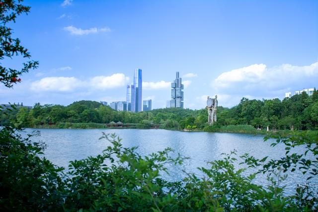 2025“中国最美十大城市”出炉，深圳第3，广州第6，大连垫底！