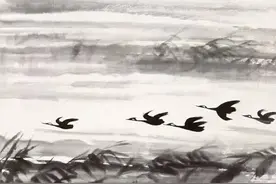 “趋之若鹜”中的“鹜”指的是什么？图片