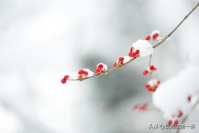 “冷不冷，就看霜降”，明日霜降，今年冬天会很冷吗？会有多冷？