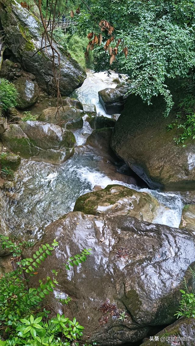 带着老爸乘宣威客运巴士去尼珠河大峡谷