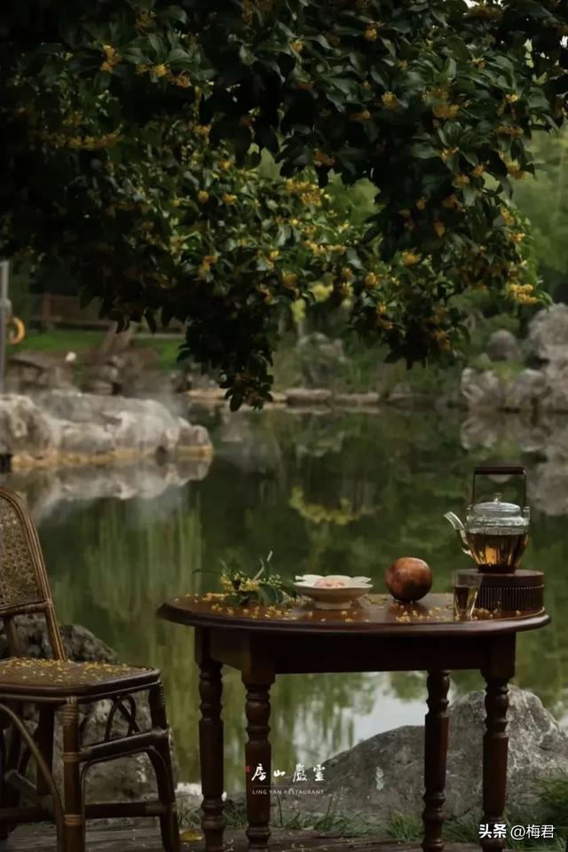 乾隆六巡裁桂雨,一城香史落谁襟