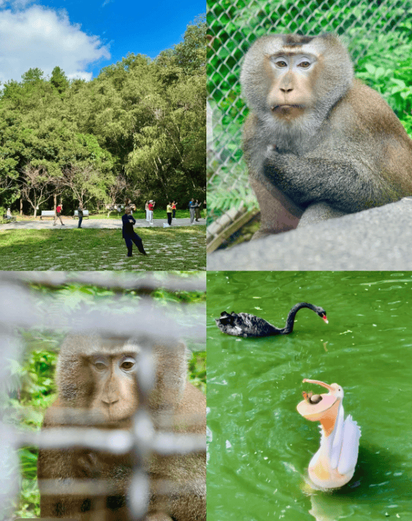 14个免费公园遛娃全攻略：看猴、玩水、露营、徒步一次集齐！速藏