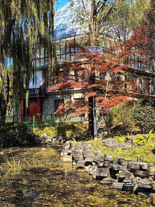 谁懂啊？这里的红枫，才是秋日“天花板”！