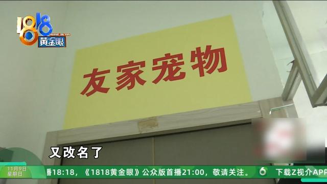 怎么又是这？她还拿出视频，里面“一动不动”，停了几只苍蝇....
