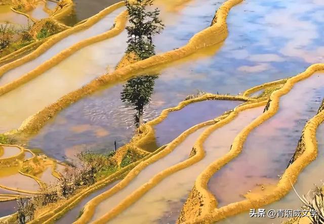 元阳梯田:大地色彩与光影交响