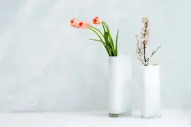 一个家里，会出“贵子”，会有的征兆图片