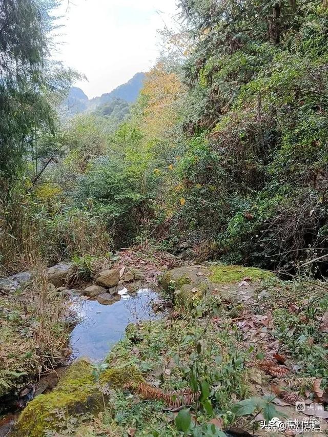 温州这条小众山脊线穿越,风光绝美少有人知,你可去过?