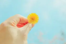 兄弟姐妹相处最好的状态，要学会“鸡群效应”图片