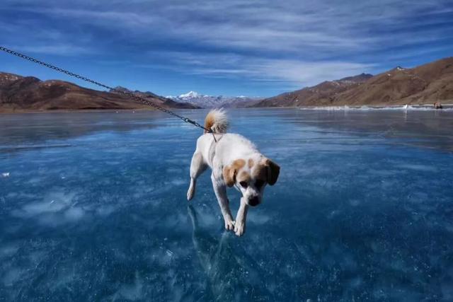 西藏冬日的冰湖仙境，堪比贝加尔湖！