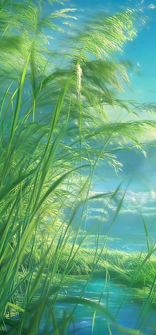 #治愈系风景 #全屏高清手机壁纸