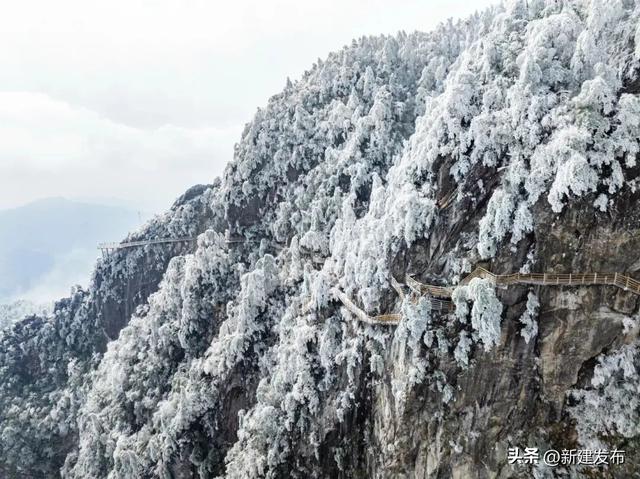 江西多地出现大片雾凇！马上又要反转！即将升温→