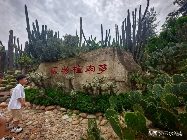 一个五A级植物园，到底藏着哪些值得看的地方，这是最实在的攻略