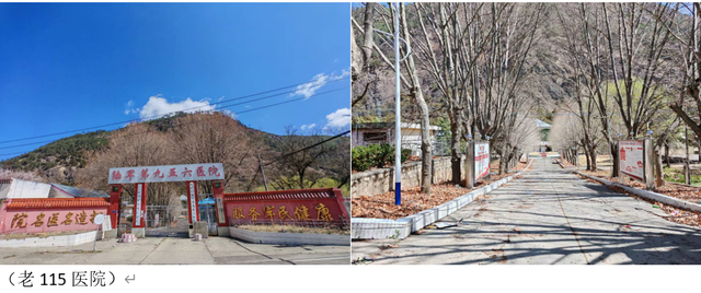 退役女兵回到林芝，老部队变成放牛地，桃花照样开满唐地村…
