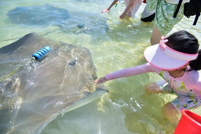 分界洲岛错峰游 | 摸鱼、玩海玩到飞起～