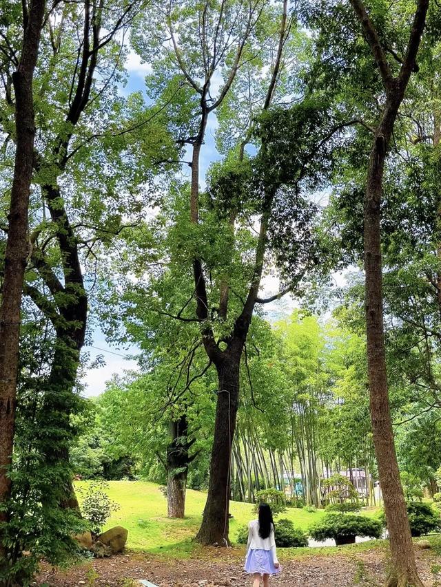 雨过天晴!成都蓝撞上森系青,美出新高度!