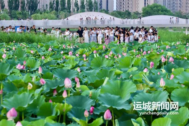 尧梦公园：“公园+”重构城市空间价值