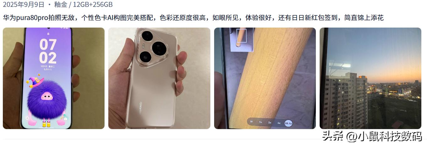 手机信号强的是哪款_OPPO Find X8s+ 信号表现 荣耀 Magic7 Pro 信号优化 华为 Pura 80 Pro 信号稳定