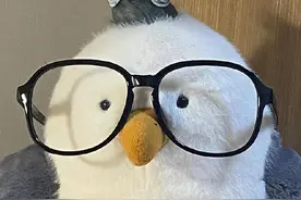 如果拍了一套法拍房 原房主不搬离咋办？网友：看清楚 只教一遍图片