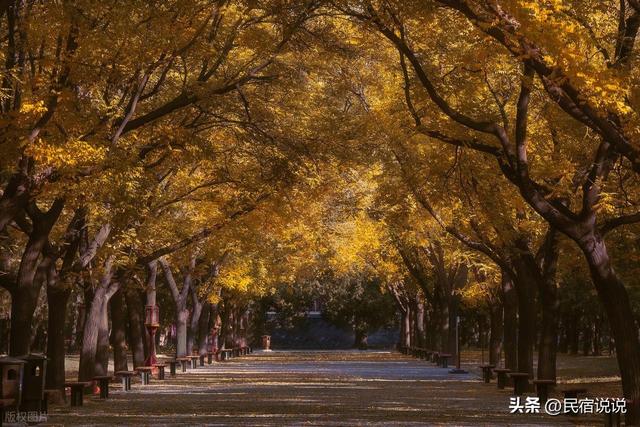 北京中轴线上藏着的秋冬美景，多少人见过？
