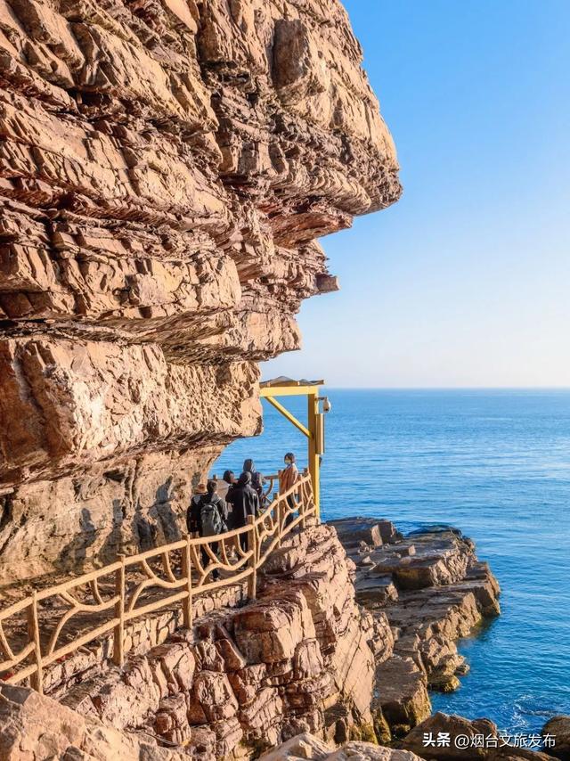 【乐游烟台】藏在北纬38°的海岛秘境！烟台大黑山岛这个夏天赶快安排上！