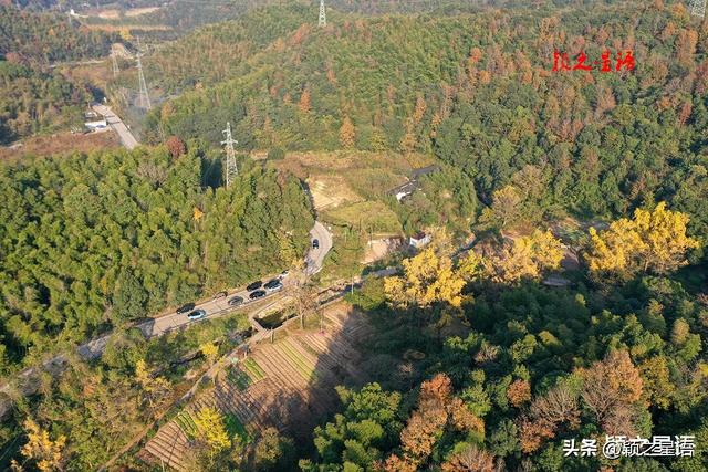 古桥、古村，银杏黄、芦苇荡，宁波城郊居然有这么美的赏秋地